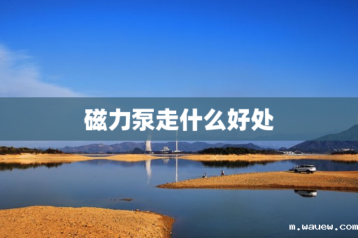 磁力泵走什么好处 磁力泵走什么好处