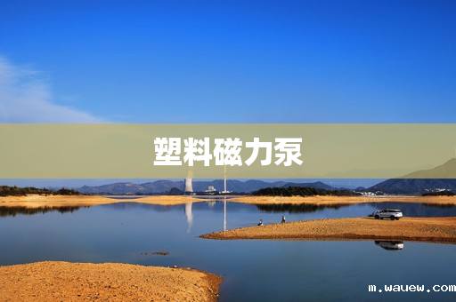 塑料磁力泵 塑料磁力泵