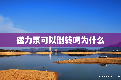 磁力泵可以倒转吗为什么 磁力泵可以倒转吗为什么