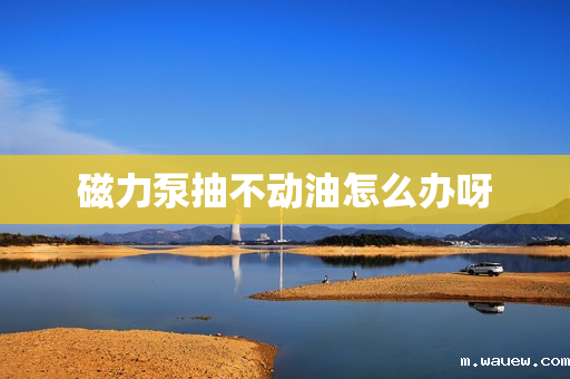 磁力泵抽不动油怎么办呀 磁力泵抽不动油怎么办呀