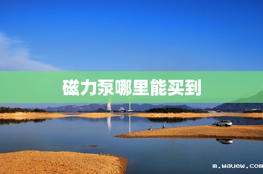 磁力泵哪里能买到 磁力泵哪里能买到