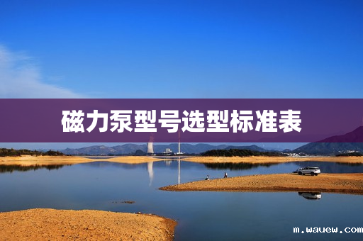磁力泵型号选型标准表 磁力泵型号选型标准表