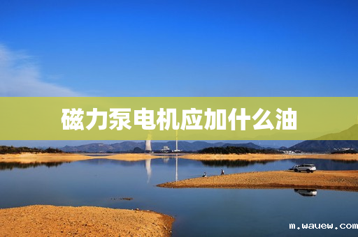 磁力泵电机应加什么油 磁力泵电机应加什么油