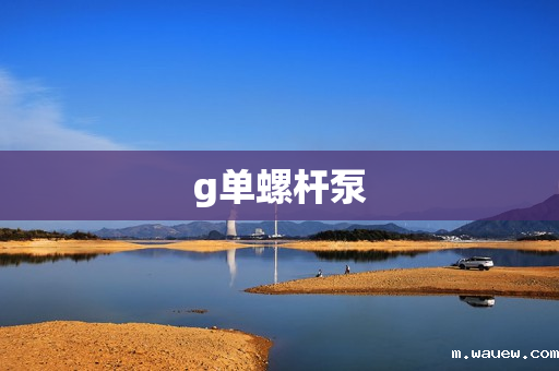 g单螺杆泵 g单螺杆泵