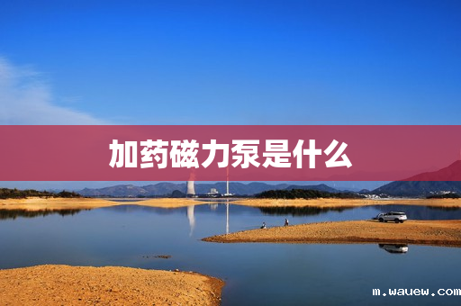 加药磁力泵是什么 加药磁力泵是什么