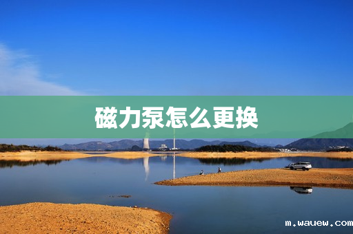 磁力泵怎么更换 磁力泵怎么更换