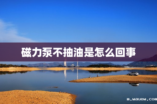 磁力泵不抽油是怎么回事 磁力泵不抽油是怎么回事