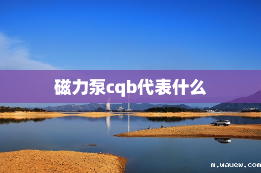 磁力泵cqb代表什么 磁力泵cqb代表什么