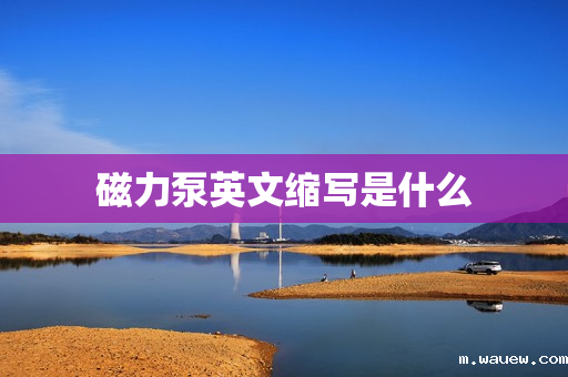 磁力泵英文缩写是什么 磁力泵英文缩写是什么