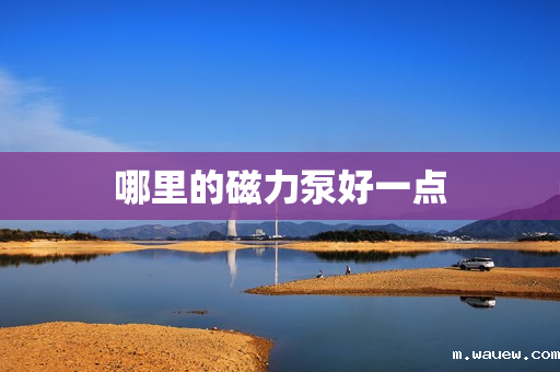 哪里的磁力泵好一点 哪里的磁力泵好一点