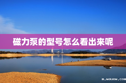 磁力泵的型号怎么看出来呢 磁力泵的型号怎么看出来呢