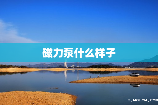 磁力泵什么样子 磁力泵什么样子