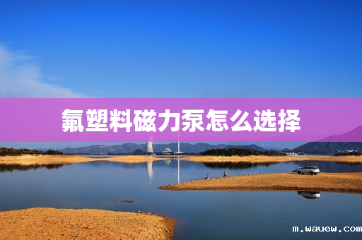 氟塑料磁力泵怎么选择 氟塑料磁力泵怎么选择