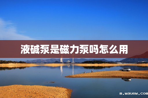 液碱泵是磁力泵吗怎么用 液碱泵是磁力泵吗怎么用