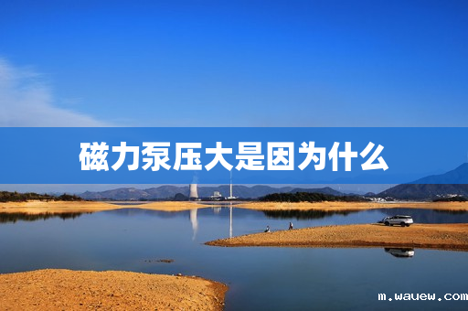 磁力泵压大是因为什么 磁力泵压大是因为什么