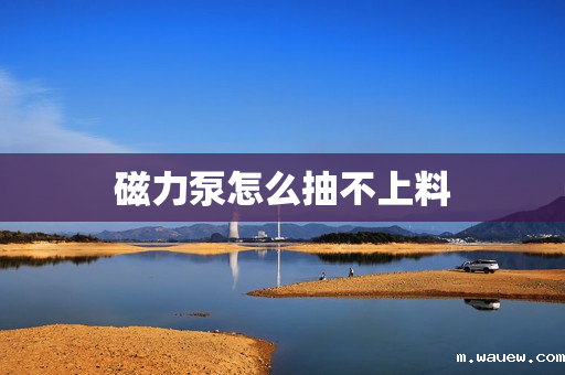 磁力泵怎么抽不上料 磁力泵怎么抽不上料