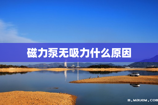 磁力泵无吸力什么原因 磁力泵无吸力什么原因