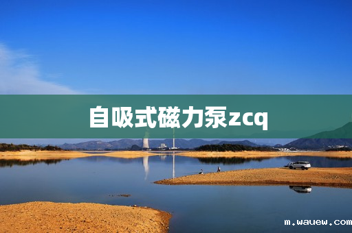 自吸式磁力泵zcq 自吸式磁力泵zcq