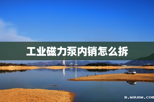 工业磁力泵内销怎么拆 工业磁力泵内销怎么拆