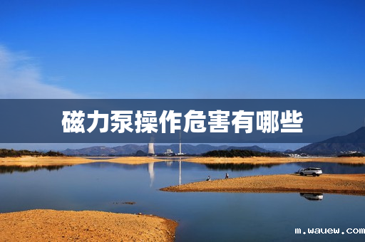 磁力泵操作危害有哪些 磁力泵操作危害有哪些