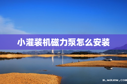 小灌装机磁力泵怎么安装 小灌装机磁力泵怎么安装