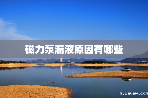 磁力泵漏液原因有哪些 磁力泵漏液原因有哪些