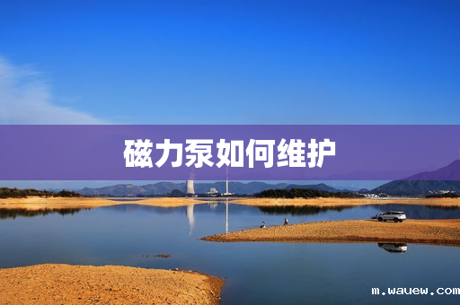 磁力泵如何维护 磁力泵如何维护