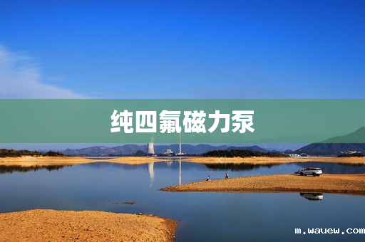 纯四氟磁力泵 纯四氟磁力泵