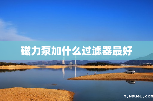 磁力泵加什么过滤器最好 磁力泵加什么过滤器最好