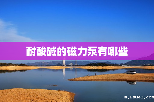 耐酸碱的磁力泵有哪些 耐酸碱的磁力泵有哪些