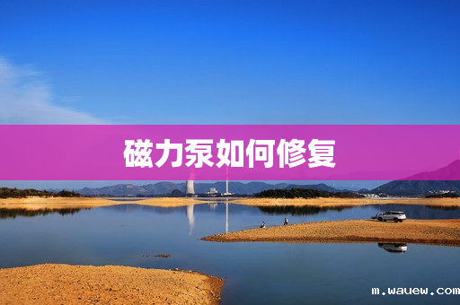 磁力泵如何修复 磁力泵如何修复