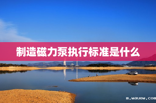 制造磁力泵执行标准是什么 制造磁力泵执行标准是什么