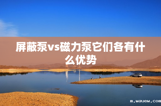 屏蔽泵vs磁力泵它们各有什么优势 屏蔽泵vs磁力泵它们各有什么优势