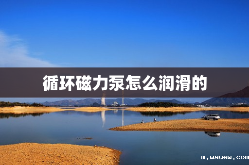 循环磁力泵怎么润滑的 循环磁力泵怎么润滑的