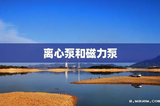 离心泵和磁力泵 离心泵和磁力泵