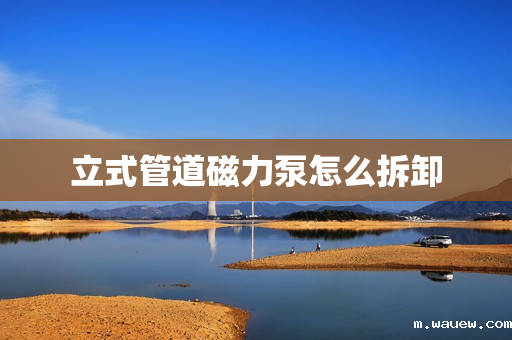 立式管道磁力泵怎么拆卸 立式管道磁力泵怎么拆卸