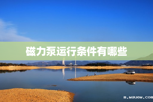 磁力泵运行条件有哪些 磁力泵运行条件有哪些