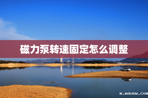 磁力泵转速固定怎么调整 磁力泵转速固定怎么调整