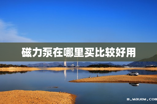 磁力泵在哪里买比较好用 磁力泵在哪里买比较好用