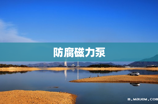 防腐磁力泵 防腐磁力泵