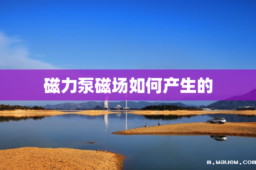 磁力泵磁场如何产生的 磁力泵磁场如何产生的