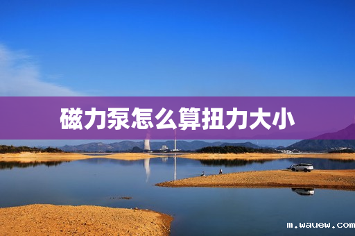 磁力泵怎么算扭力大小 磁力泵怎么算扭力大小