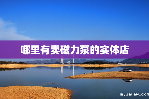 哪里有卖磁力泵的实体店 哪里有卖磁力泵的实体店