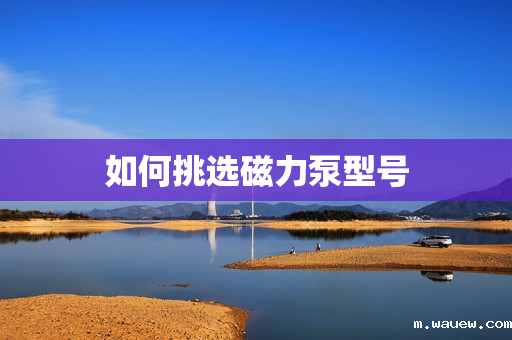 如何挑选磁力泵型号 如何挑选磁力泵型号