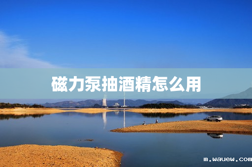 磁力泵抽酒精怎么用 磁力泵抽酒精怎么用