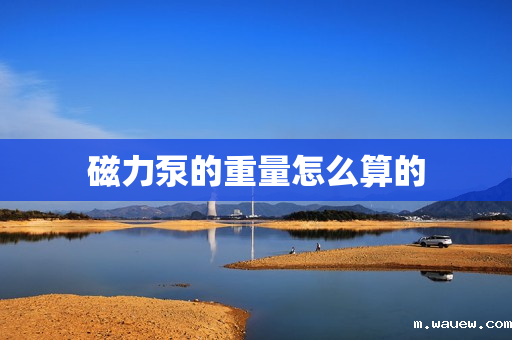 磁力泵的重量怎么算的 磁力泵的重量怎么算的