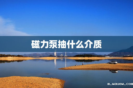 磁力泵抽什么介质 磁力泵抽什么介质