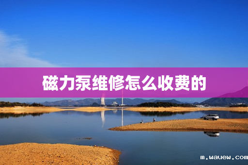 磁力泵维修怎么收费的 磁力泵维修怎么收费的