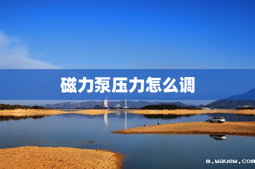 磁力泵压力怎么调 磁力泵压力怎么调