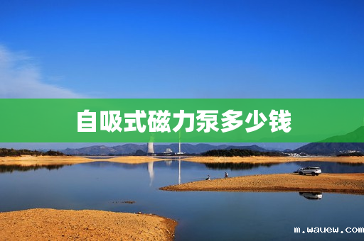 自吸式磁力泵多少钱 自吸式磁力泵多少钱